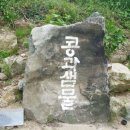 콩과샘물