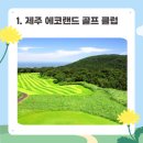 자연골프연습장 이미지