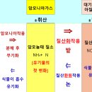 7. 비료 이야기 - 탄소, 수소, 산소, 질소 이미지