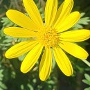 정원전설(주) 이미지