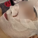 에그뮤즈스킨스칼프 | 광교 피부관리 에스테틱 에그뮤즈 스킨스칼프 광교점 후기