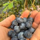 제이농장 이미지