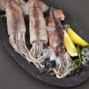 제주영주수산 영어조합법인