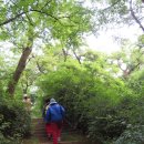 초록숲공원 이미지