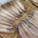 백합식당 티스토리