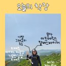 관양중학교 버스정류장 이미지