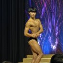 은성휘트니스 헬스 | [보디빌딩대회후기,포항남구pt,비배럴휘트니스]🏆 포항시 보디빌딩 &amp; 경북도민체전 예선전 비배럴...