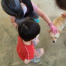에벤에셀승마장
