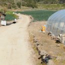 임자공인중개사사무소 이미지