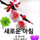 내집 Daum카페