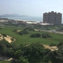 본24골프 이미지