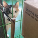 금동이네 이미지