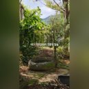 가창로84길 이미지