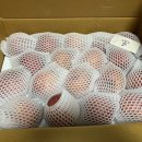 밤실농장 이미지