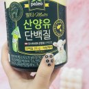 소화 17 | 성인 단백질보충제 추천 소화편한 제품 후기