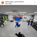 파다주짓수아름