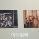 동천인터내셔널