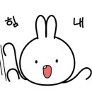 하이엔드 독 이미지