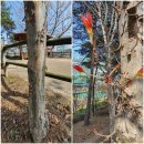 용호근린공원 이미지