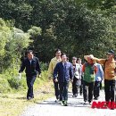 금지순환길 이미지