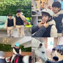 대덕승마장 | 대구체험승마 아이와 가기 좋은 앞산 대덕승마장