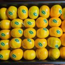 대청종합사회복지관 | 대청종합사회복지관 사회복지종사자 인권교육 기록