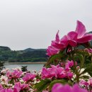 우크라이나, 초특혜 <b>대출</b> '80억 달러' 돌연 삭제, 의혹...