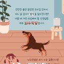 차동물병원 이미지