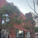 스노우피크 랜드스테이션 하남 | 하남 미사 캠핑카페 ‘스노우피크 카페’ 랜드스테이션 : 미사대형카페추천