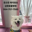 웃으면복이와요 이미지