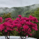 강나루 긴 언덕 이미지