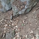 풍류농장2 이미지