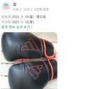머슬텐W복싱 이미지