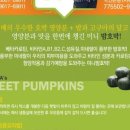 파파농장 이미지