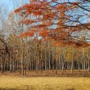 초아목장 이미지