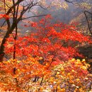 만대농장 이미지