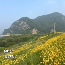 봉황대 유적 공중화장실(주차장) | 강원도 원주 가볼만한곳 6월 흥원창 금계국 꽃구경