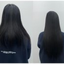 머리머리 이미지