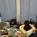 342 | 포천 애견동반 글램핑 내돈내산 후기 | 핫도그342 애견글램핑카라반