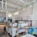 앵무새 | 25.11.15 리프패럿 다산신도시점, 앵무새카페 내돈내산 후기