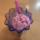 새편한이웃약국 이미지