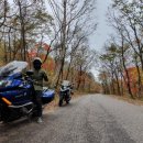 협심식육점 이미지