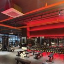 익스트림짐 이미지