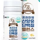 밸런스디테일 이미지