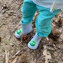 연화농원 | 인천 강화 가족체험 추천 연화농원 밤줍기 체험