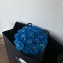 영인동물병원 | How's 2026 Going!!!