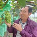 김태연농장 이미지