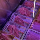 조은고기할인매장 | 천안고기집 퀄리티좋은소고기 참조은정육식당