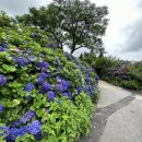 동광리-5 이미지