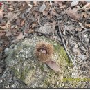 양림목장 이미지